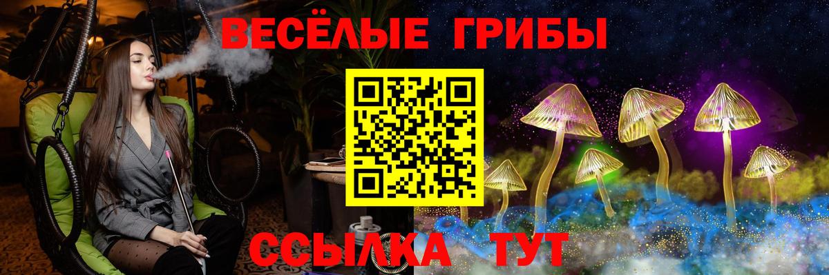 Галлюциногенные грибы Psilocybe  Вход с VPN  Россия 